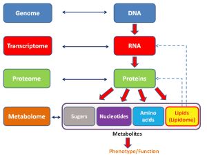 Genetic studies of paired metabolomes 