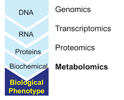 Genetic studies of paired metabolomes 